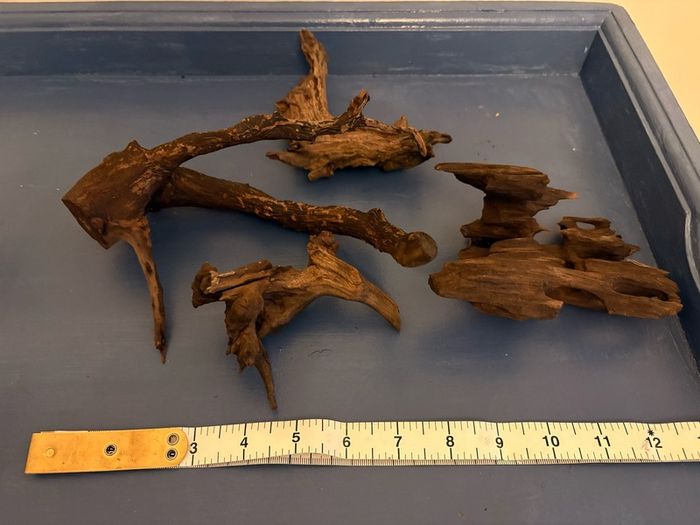 driftwood