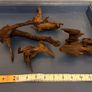 driftwood Image 2