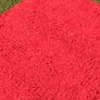 Next rug Red Image 2