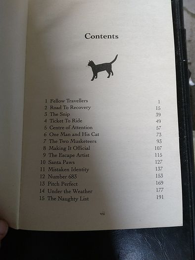 A Street Cat named Bob. An Uplifting True Story