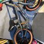 Mongoose Image 5