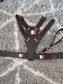 Dog Leather Harness with Irish flag and free chain