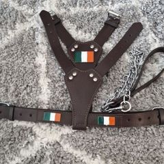 Dog Leather Harness with Irish flag and free chain