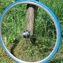 Turbo Trainer 700c Wheel Image 3