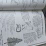 4 x Vintage Folens English National Primary School Books  Busy Beaver Treasuary of English Workbooks Old Used Image 9