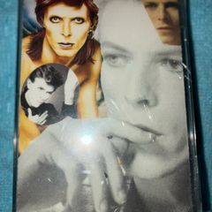 David Bowie  |  Changes Bowie