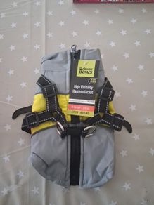 Small dog hi vis