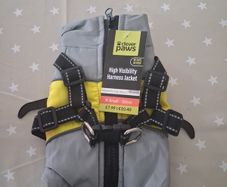 Small dog hi vis