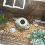 Fish tank Image 2