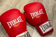 Everlast Boxing Gloves