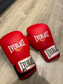 Everlast Boxing Gloves