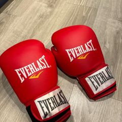 Everlast Boxing Gloves