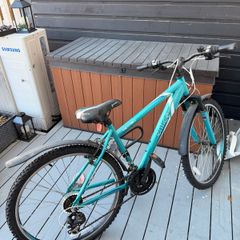 Apollo entice - womens bike - M