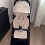 buggy Image 2