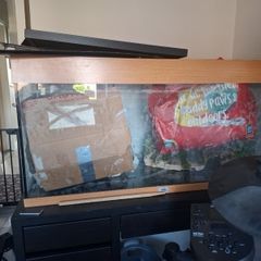 Aquarium Fish tank