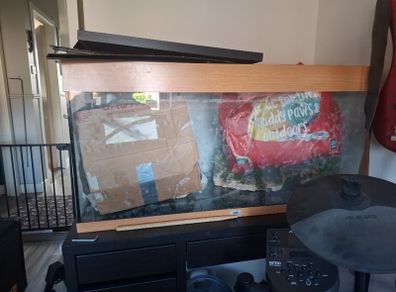Aquarium Fish tank