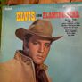 Elvis vinyl bundle Image 3