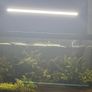 Fish tank 50L Image 2