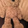 Teddy Bear. Image 3