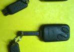 Scorpion alarm fob