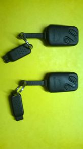 Scorpion alarm fob