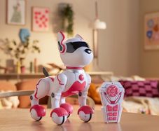 Zoey the Robo Dog