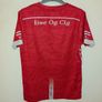 eire og gaa jersey Image 3