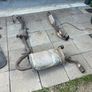 Mx-5 1.8 vvt Engine and other parts available Image 7