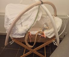 Moses Basket mamas and papas