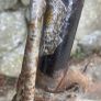 2 vintage bikes. Needs a bit TLC. All parts on bikes Image 7