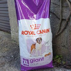 Royal Canin Giant Dog Food