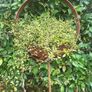 Corten steel Garden Art Image 6