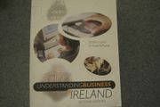 Understanding Business in Ireland 2nd Edition by Dr. J Lynch and Dr Frank Roche
