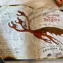 Rare Cressida Cowell How to Train Your Dragon In Complete Book of Dragons Hardcover 1st First Edition Image 5