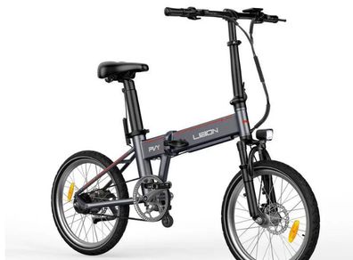 PVY Libon Electric Bike