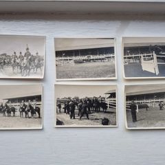Royal Dublin Horse Show