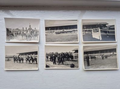Royal Dublin Horse Show