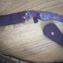 Vintage Guess handbag Image 6