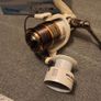 Balzer Alegra pearl Image 3