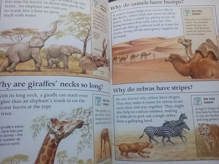 Book: The World of Animals (postage included)