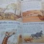 Book: The World of Animals (postage included) Image 4