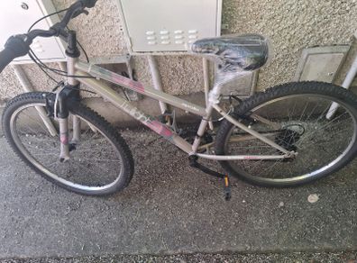 Ladies Bike 26"Wheelsw.FrontSusp.+2MountainB.+ 1VintageB.VeryGoodCondition