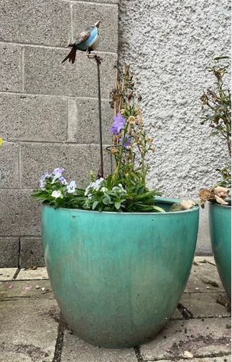 Large/Medium Glazed Earthenware Egg Flower Pot- 3 available