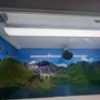Vivarium with Light and Temperautre control Image 2