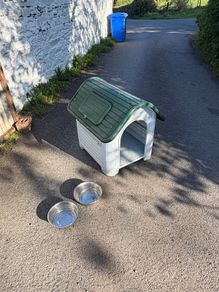 Dog Kennel @ Feeding Bowls (2)