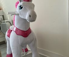 Pony Cycle Pink Mane Unicorn