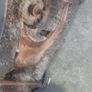 NEED GONE lawnmower for parts Image 3