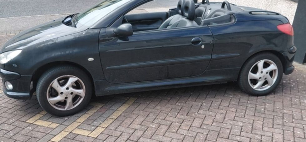 2007 Peugeot 206