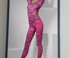 Costume Bodysuit