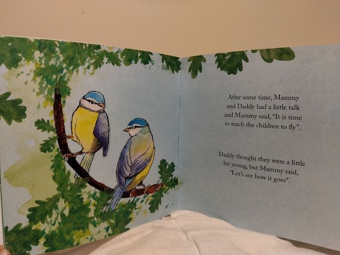 The Adventures Of Pete And Tweet Story Book